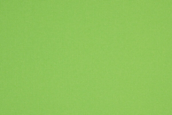 Anise_2024-1024x1024
