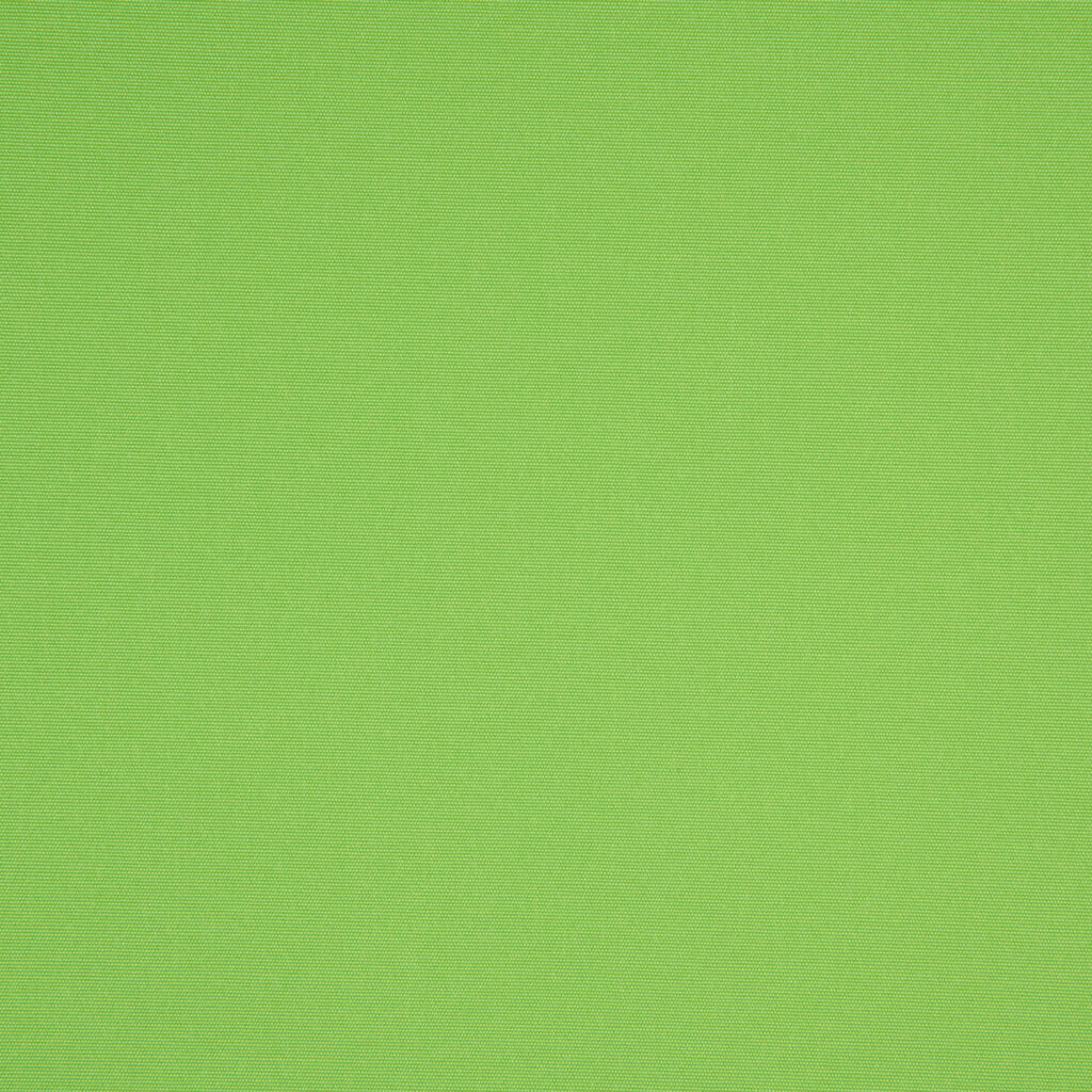 Anise_2024-1024x1024